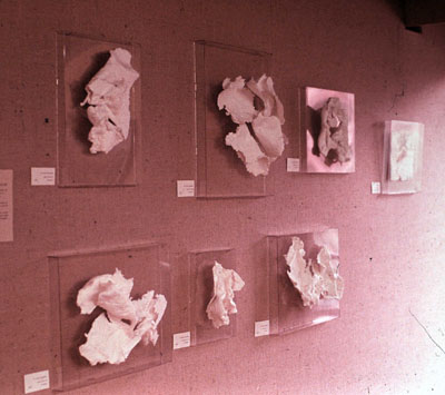 paperworks in gallery