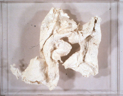 enounter 4