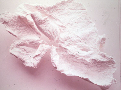 paper 5