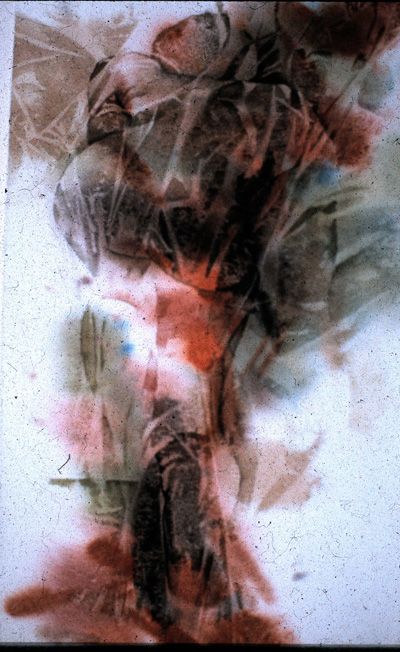 phoenix 6