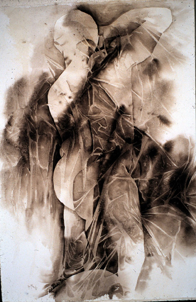 phoenix 7